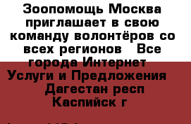 Зоопомощь.Москва приглашает в свою команду волонтёров со всех регионов - Все города Интернет » Услуги и Предложения   . Дагестан респ.,Каспийск г.